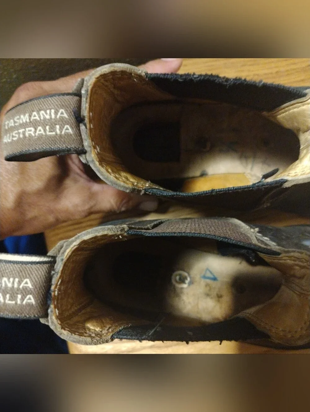 BLUNDSTONE Size USW 7.5 AU 4.5 Rustic (Paint). Chelsea Brown Boots